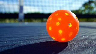 アンナ・リー・ウォーターズの金言