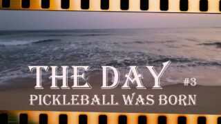 映画化してほしいピックルの父③