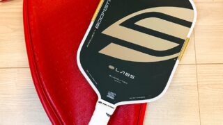 Selkirk LABS Boomstikレビュー