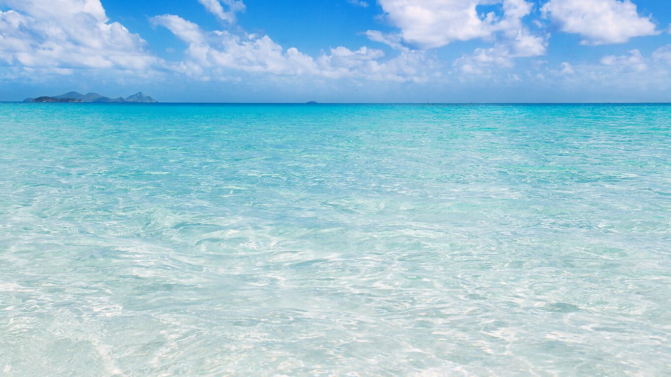 世界一美しいピックルボールコート