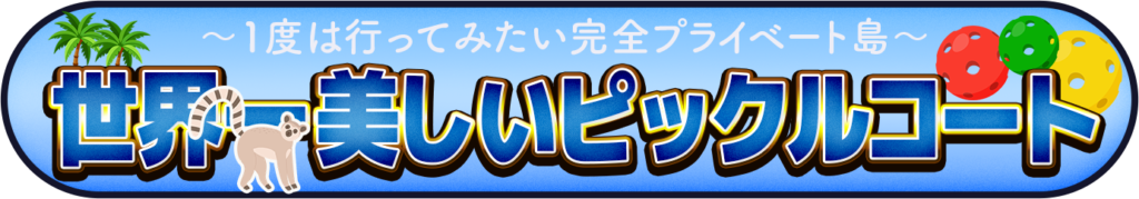 世界一美しいピックルボールコートのイメージ画像