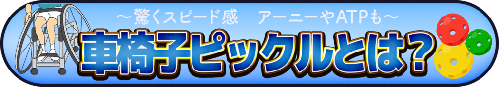 車椅子ピックルとは？のイメージ画像